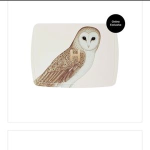 Hourglass ambient lighting palette 2023 owl w/snake